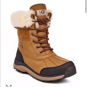 UGGS Snow-boots in Size 8